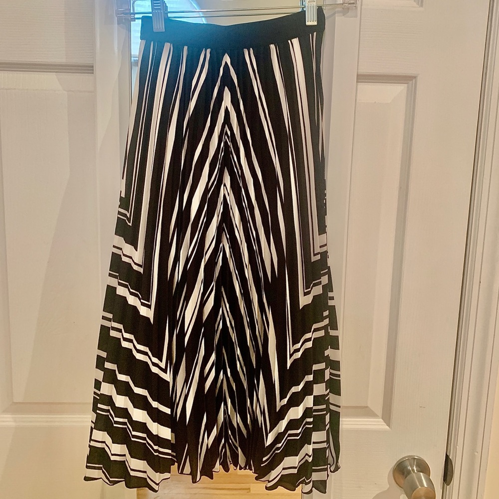 H&M Pleated Skirt